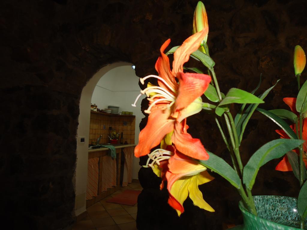 Agriturismo Zibibbodoro Scauri  ภายนอก รูปภาพ