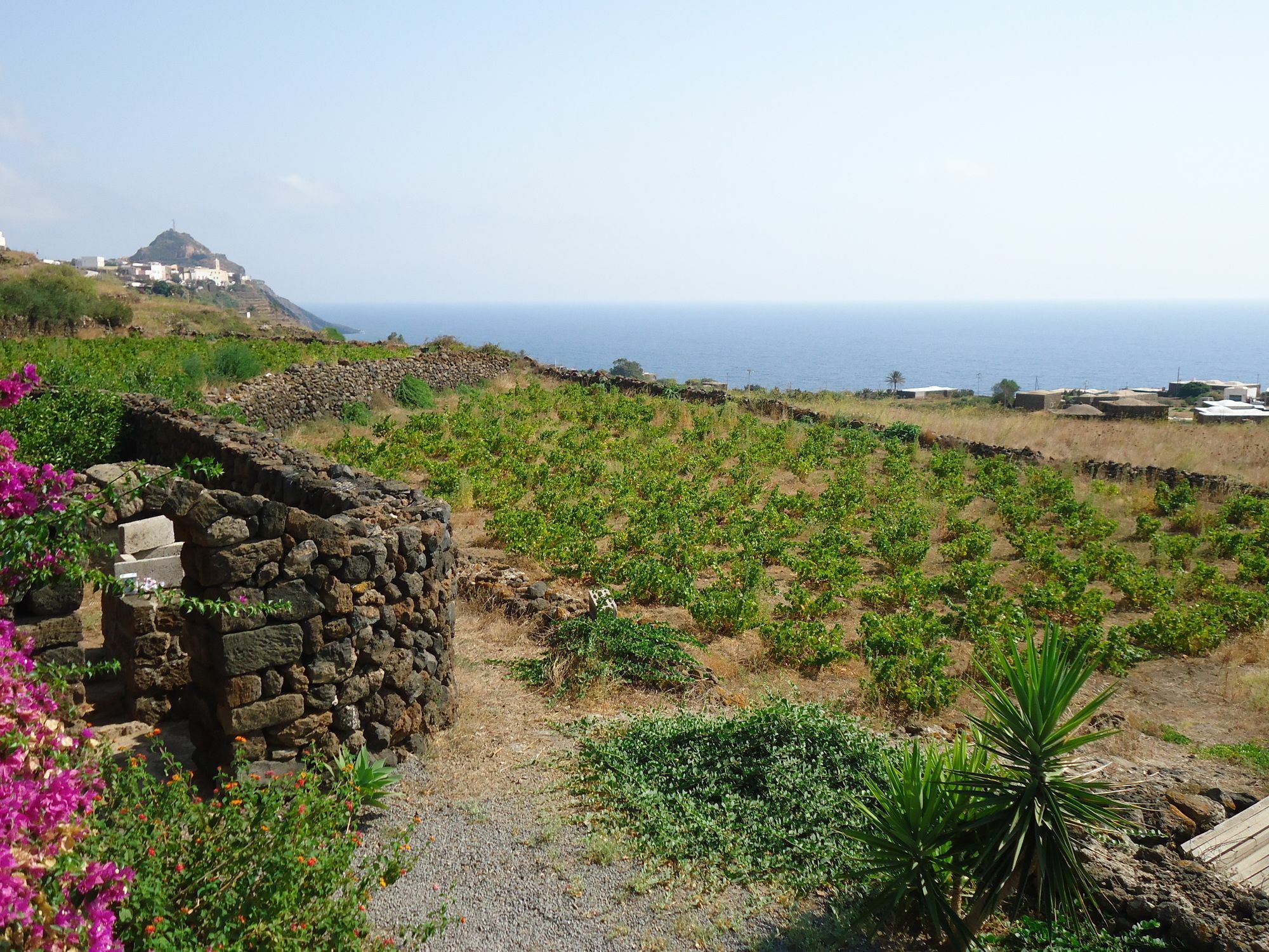 Agriturismo Zibibbodoro Scauri  ภายนอก รูปภาพ