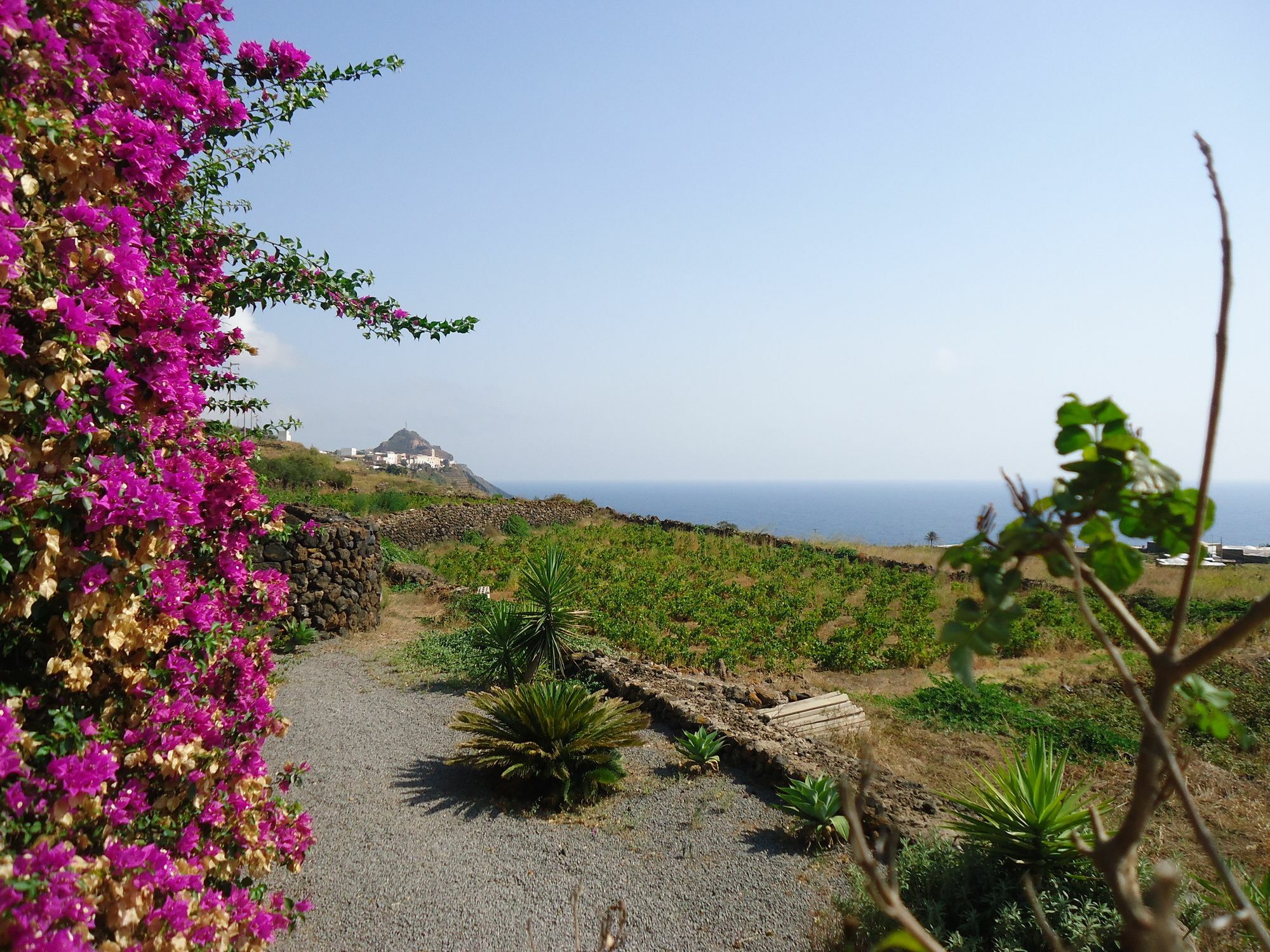 Agriturismo Zibibbodoro Scauri  ภายนอก รูปภาพ